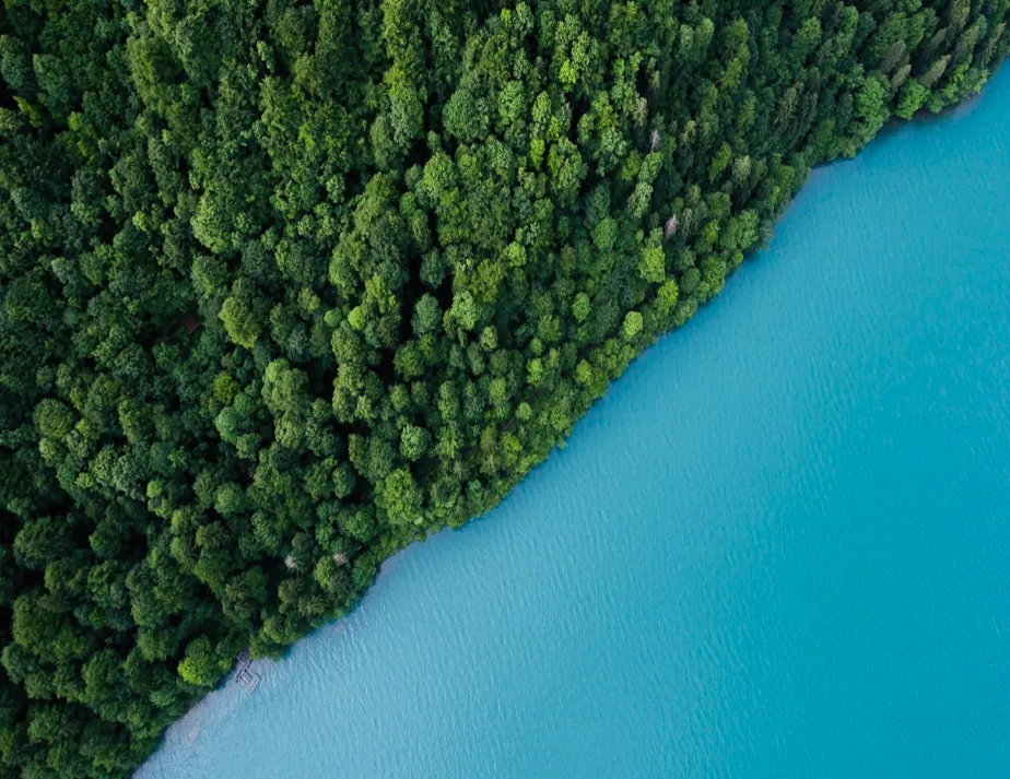 <p><span style="color: #FAC515">"Nature as an Asset Class"</span><span> is reshaping investments.</span></p>